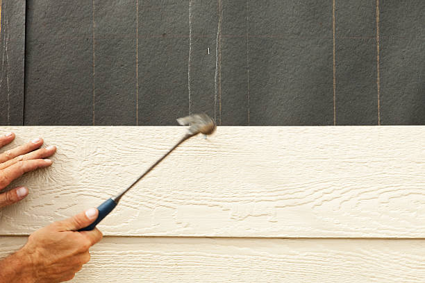 Best Siding Painting and Refinishing  in Indianola, MS